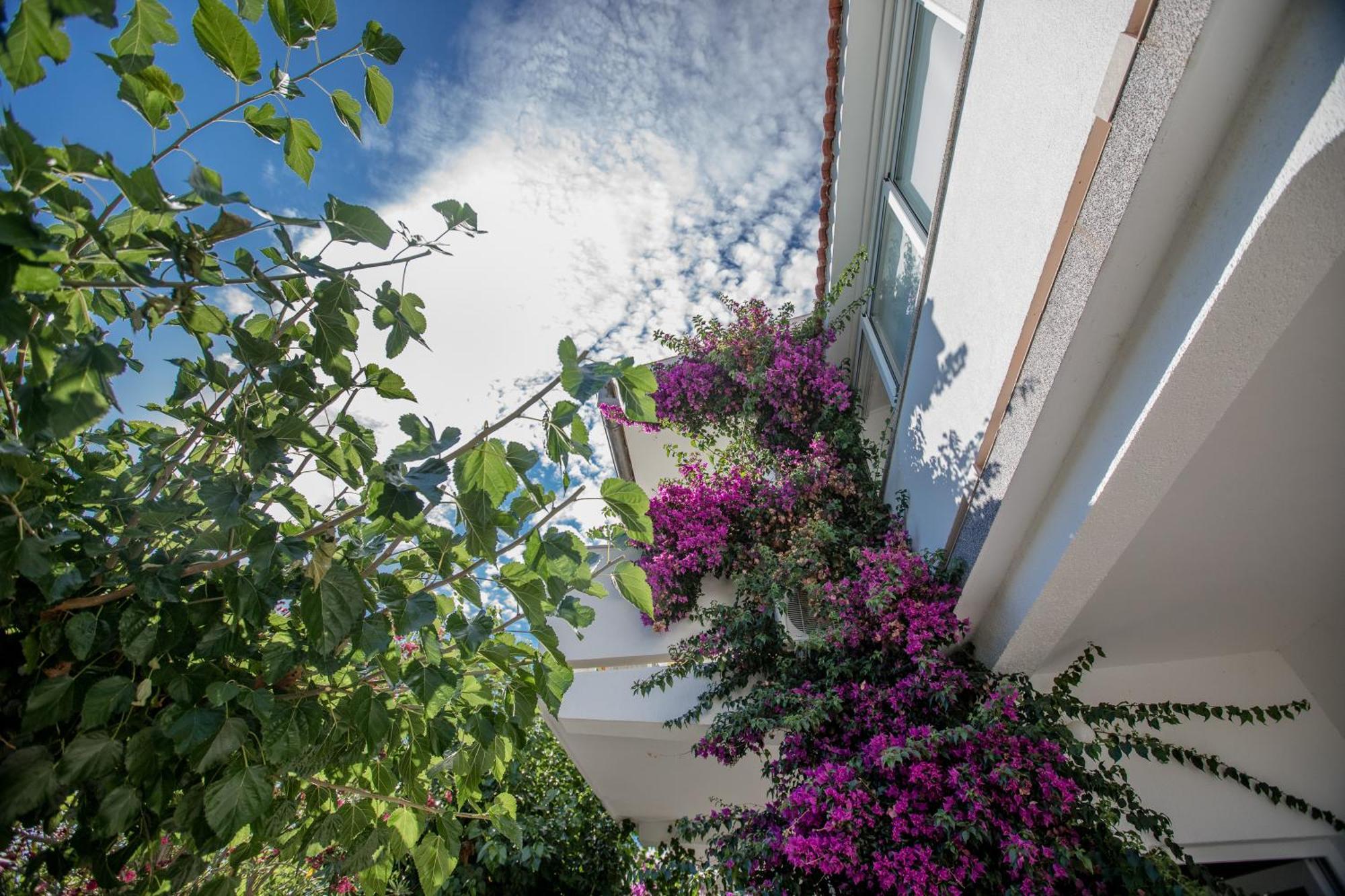 Apartman Rosa Supetarska Draga Kültér fotó